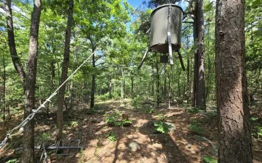 Off-Grid Cabin Building Location – Great Views