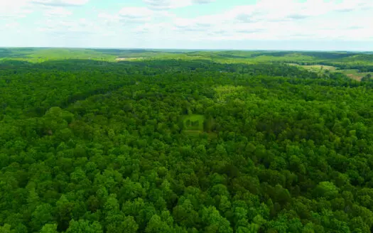 Unbelievable Hunting, And Recreational Property In Western Ripley