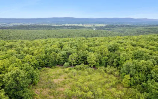 Log Home on 119 Acres, Hunting Land with Panoramic Views
