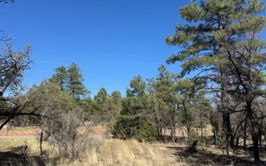 Land for Sale near Heron Lake in Northern New Mexico