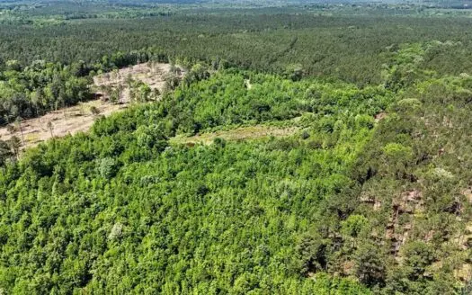 Secluded 12+ acre parcel in Jefferson, TX