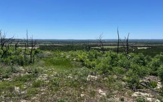 Beautiful Views and Abundant Wildlife