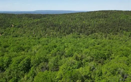 Mountain Land for Sale in Albion, Oklahoma