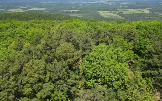 Land with Creek for Sale in Albion, Oklahoma