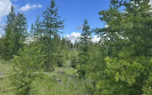 Buildable Land for Sale in Orofino, Idaho
