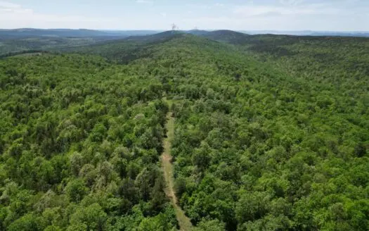 Mountain Land in Albion, Oklahoma for Sale