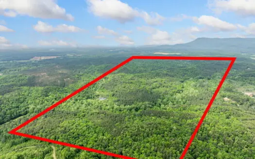 Recreational, Hunting, Timber property