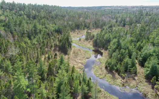 1206± Acres of Pristine Forestland