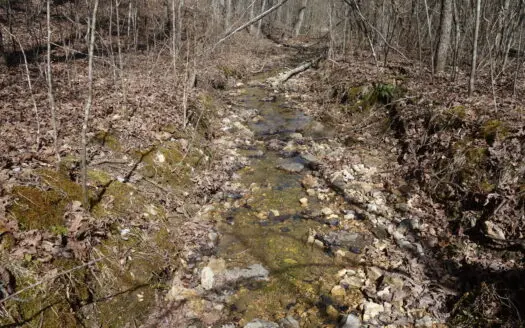 Land For Sale In Eminence Missouri