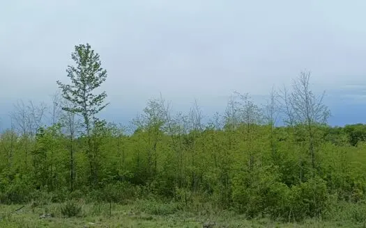 Recreational Land for Sale in Butternut, Wisconsin