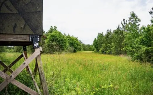 Hunting Land in Mousehouse Parish Near Bastrop, LA