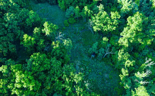 Recreational Land for Sale Lake of the Ozarks