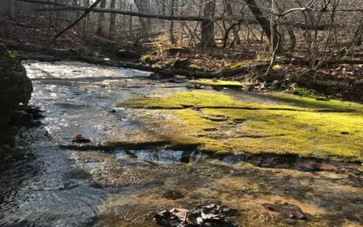 Marketable Timber And Live Water