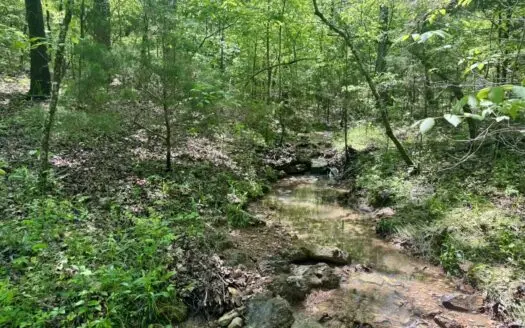 Secluded Hunting And Recreational Land For Sale In Arkansas