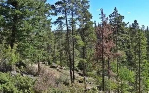 Mountain Property with Amazing Views