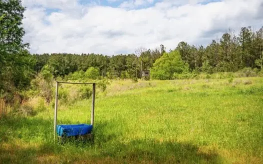 Homochitto National Forest Hunting Property Wilkinson Co, MS