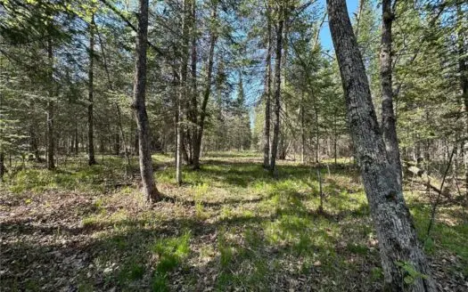 20 Acres of Wooded Recreational Land For Sale in Barnum MN