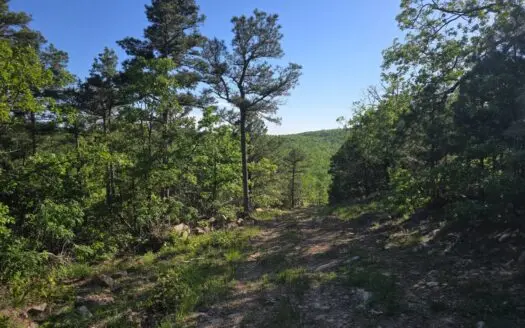 Kiamichi Mountain Land for Sale in Albion, Oklahoma