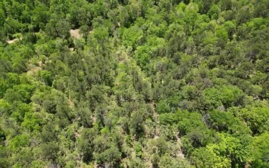 Land with Creek for Sale in Albion, Oklahoma