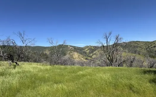 40 Acres in Northern CA to Build, Camp, Hunt for Sale
