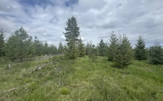 Residential Land for Sale in Orofino, Idaho