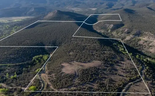 Colorado Mountain Mule Deer Hunting & Recreational Land