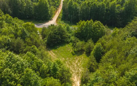 Land for Sale in Alexander CountyNC/Unrestricted Acreage