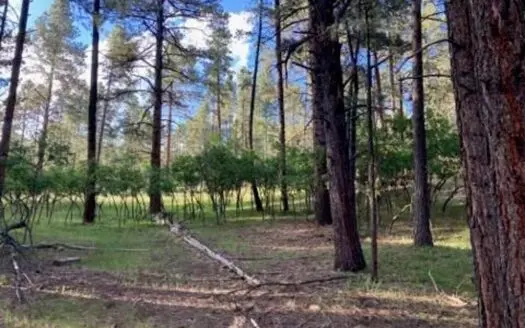 Land for Sale in Brazos Lodge with Water Membership