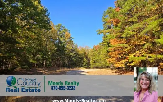 Beautiful Ozarks Lot In A Great Location