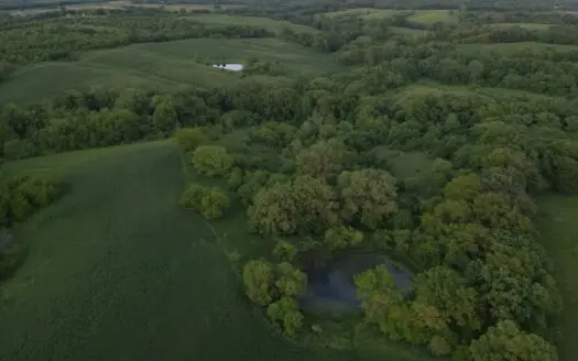 125+/- Acres | Combination Farm with Timber, Pasture & Hunting Potential