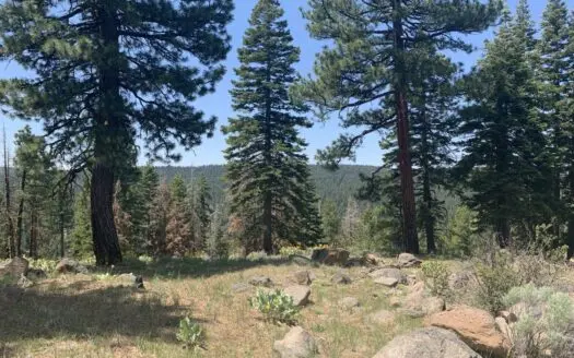2.46 Acres of Outdoor Adventure & Relaxation in California Pines!