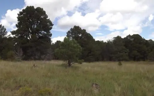 20 Acres in Sandia Foothills – Private & Scenic Land