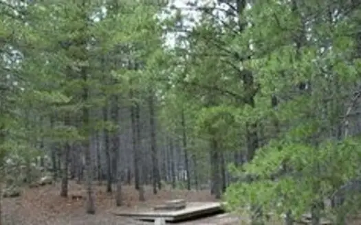 Stunning Lot in Northern Colorado Front Range