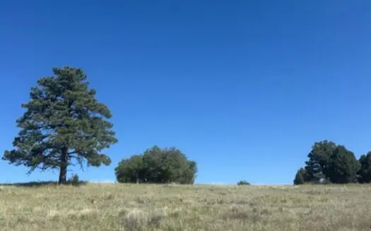 Land For Sale Near Chama NM in Horse Friendly Community