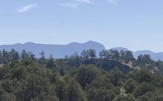 5.8 Acres with Stunning Brazos Cliff Views in Gated Laguna Vista