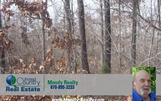 Small Wooded Acreage Near Hardy Arkansas