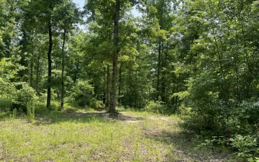 Wooded Land For Sale In Hardin County Tn, 10+/- Acres