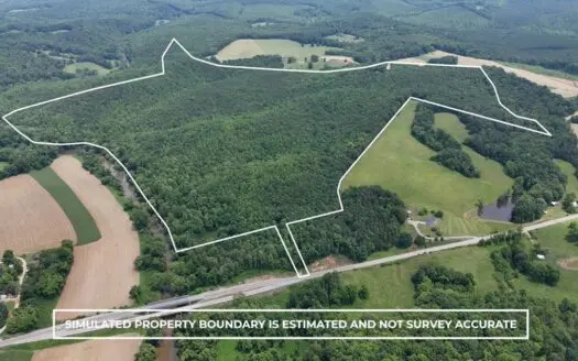 193 Acres on Pigg River – Hunt, Fish, Build, & Explore VA