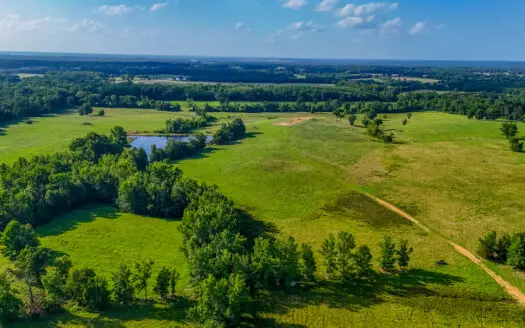 200 Acres Pasture Land – Pittsburg, TX Camp County – Fish Hunt