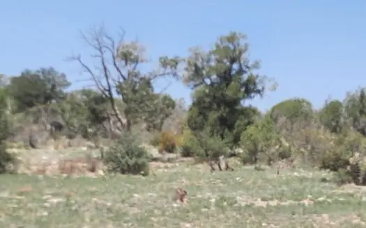 Northern Arizona 160 acres Hunting property adjoining State Land