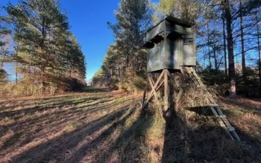 132 Acre Hunting Tract in Jasper County