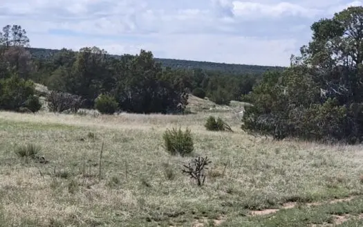 4.9 Acres Partially Wooded Lot in Woodland Hills NM