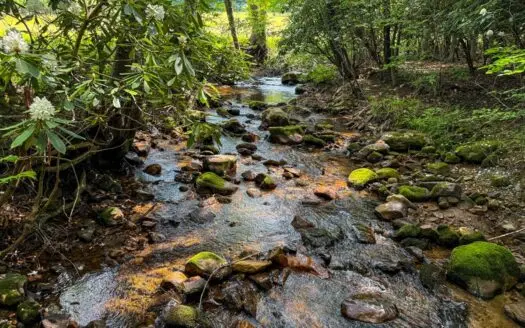 Laurel Fork Farm: Hunt, Ride & Relax in Mountain Solitude