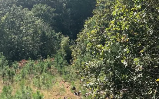 Secluded Hunting/Recreational Property Latimer County OK