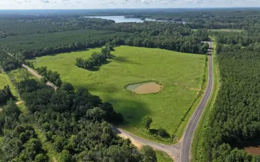 Cattle Farm For Sale with Pond Lincoln County Wesson Mississippi