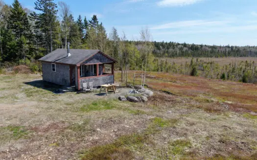 120± Acres of Land with Camp and Blueberry Field