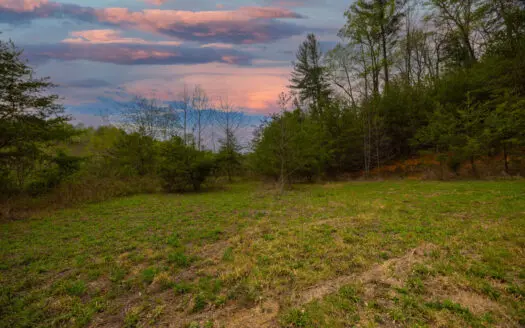 Land for Sale in Alexander CountyNC/Unrestricted Acreage