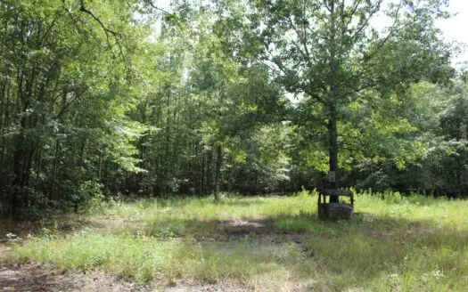 Off- Grid Hunting Paradise in Red River County Texas For Sale