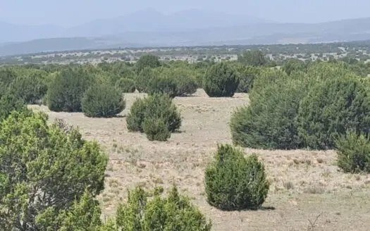 Historic Ice Plant Property with Wells & Views – 40 Acres in Esta