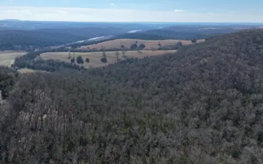 73 Wooded  Acres for Hunting or Recreation in Ozark County MO